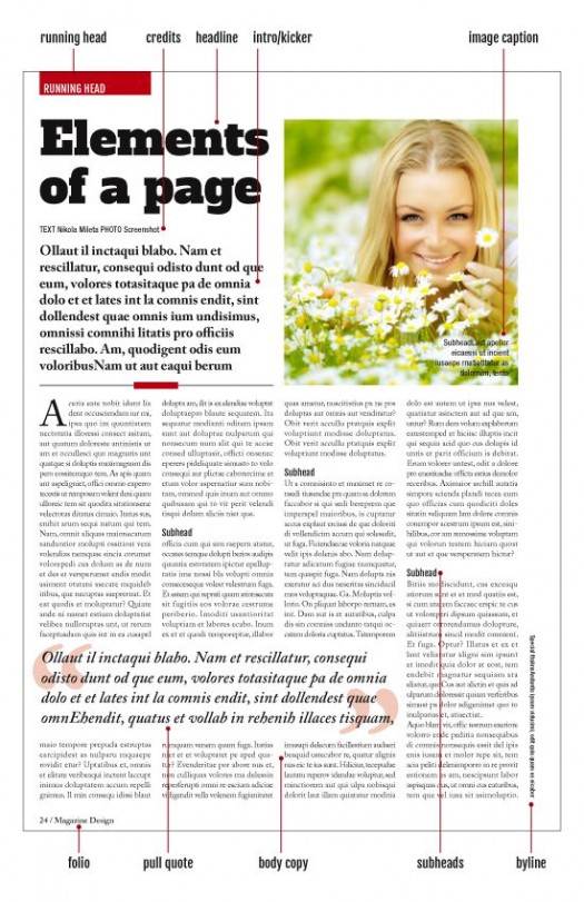 anatomy of a print publication