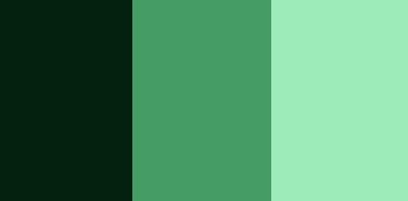 color palette